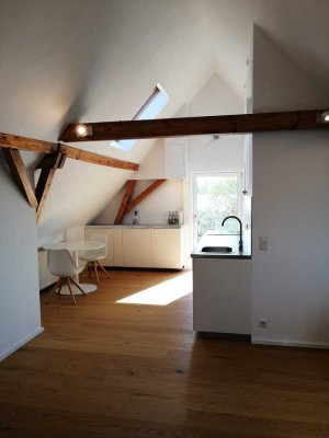 Einzigartige Dachgeschosswohnung in unvergleichlicher Lage - Wohnloft - Sichtdachstuhl