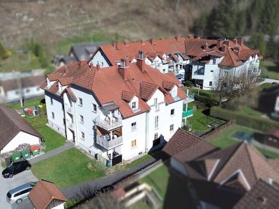 Ötscher und Alpenvorland hautnah erleben via Wohnung im Kern von Gaming!