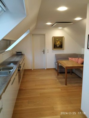 Vollständig renovierte 2-Zimmer-Maisonette-Wohnung in Jena