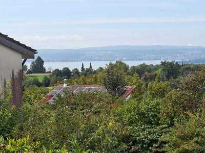 Traumwohnung in Daisendorf mit großem Garten, Terrasse, Bodensee- und Alpenblick zu vermieten