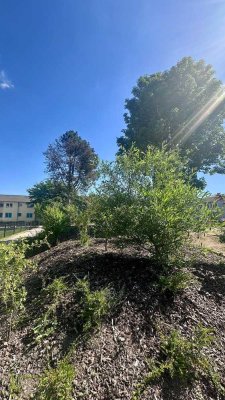 +++ 2-Zimmerwohnung mit offener Wohnküche und Sonnenbalkon +++