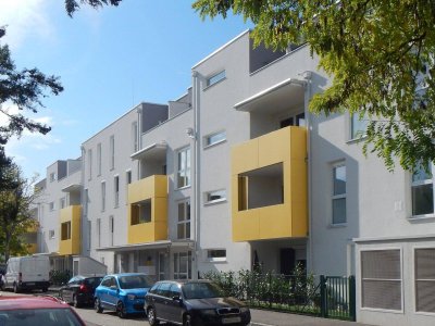 Moderne, ostseitige Dachterrassenwohnung