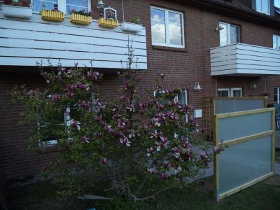 Top EG- Wohnung in Görries- mit Terrasse und kleinem Garten
