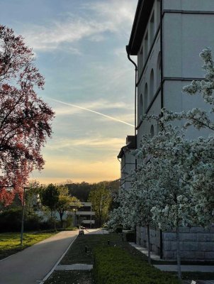 Möblierte 2 Zimmerwohnung am Ulmer Safranberg zur Untermiete