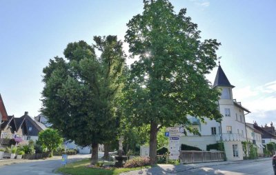 GELB Immobilien - Helle 2-Zi.-Wohnung mit Einbauküche & Stellplatz - frisch renoviert (2025)