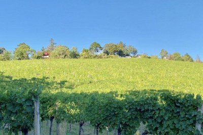 SCHAFBERG - SONNENDURCHFLUTETE DACHGESCHOSSWOHNUNG MIT UMLAUFENDEN TERRASSEN
