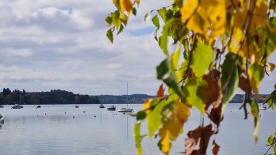 Einziehen und Wohlfühlen