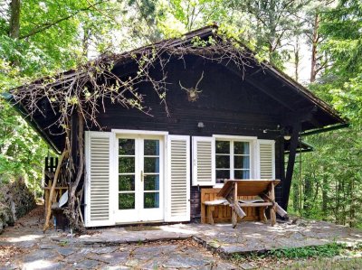 Raus aus der Stadt – Wald, frische Luft, Ruhe.