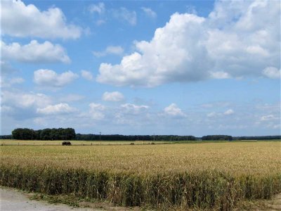 MG-Dorthausen | 1. Etage | Sonnenbalkon | Dreifamilienhaus