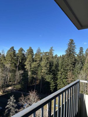 Helle und freundliche 1-Zimmer-Wohnung mit hochwertiger Einbauküche - komplett renoviert in 2025