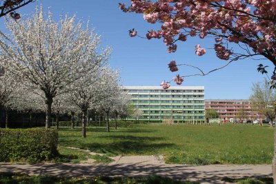 Schöne 3-R-Wohnung im 2. Geschoss zu vermieten