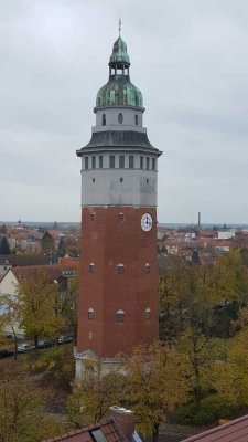 Moderne 1-Zimmer Wohnung im EG in Finsterwalde
