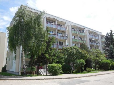 3 Zimmer für Ihre Familie!