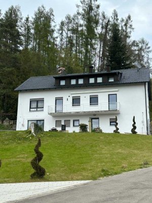 Vollständig renovierte 4,5-Zimmer-Wohnung mit Balkon in Dürrlauingen