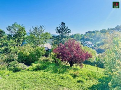 TRAUMHAUS MIT TRAUMBLICK AM ÖDBERG / SACHSENVIERTEL