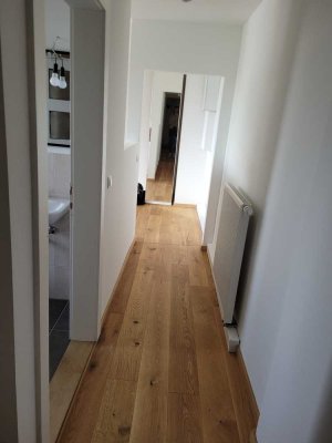 Renovierte 1-Zimmer-DG-Wohnung in Heidelberg