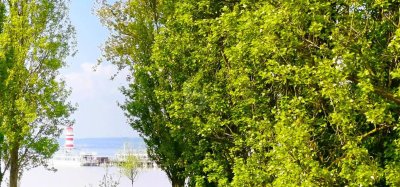 EINMALIGE LAGE AM NEUSIEDLERSEE MIT BESTEHENDEM HAUS
