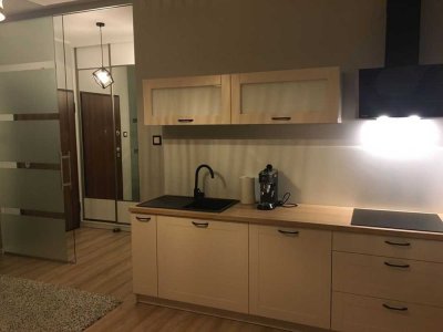 Geschmackvolle, modernisierte 1-Raum-Wohnung mit Einbauküche in Nürnberg