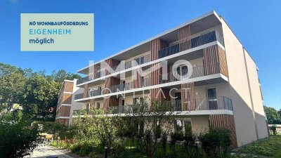 2 Zimmer Starter Wohnung!