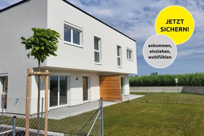 HAUNOLDSTEIN IX A - RH 8/1