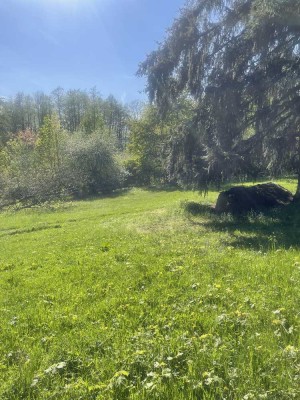 Wochenendgrundstück/ Freizeitgrundstück mit Gartenhaus zu verkaufen