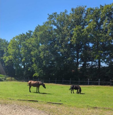 Wunderschöner Reiterhof in Alleinlage - Perfekt für Naturliebhaber!