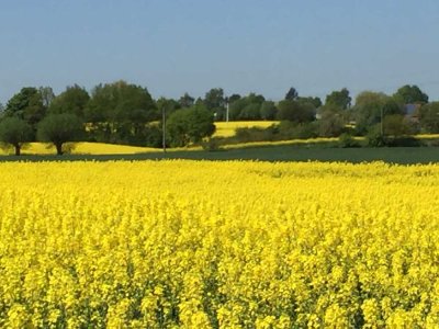 Sonnige EG-Wohnung mit Terrasse in Süd/West Ausrichtung, gehobene Ausstattung in Stockelsdorf