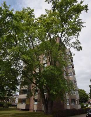Modernisierte 4-Zimmer Wohnung mit traumhaftem Ausblick in Laatzen
