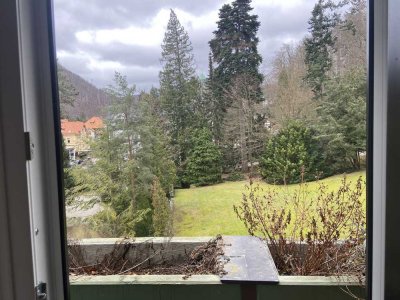 Stilvolle, sanierte 1-Zimmer-Wohnung mit Balkon in Bad Harzburg