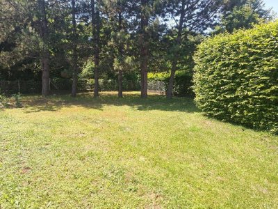 Bad Fischau: Wunderschönes Einfamilienhaus mit Keller, Wintergarten, Carport und tollem Garten in ruhiger Lage