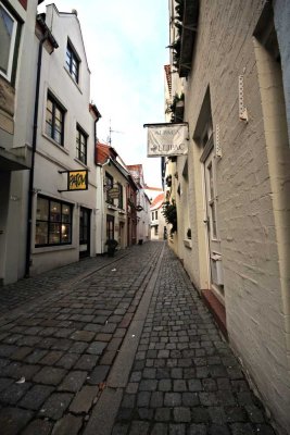 Renovierte Wohnung in attraktiver Zentrumslage