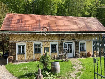 LOFTARTIGE WOHNUNG IM GRÜNEN NAHE DER WIENER STADTGRENZE