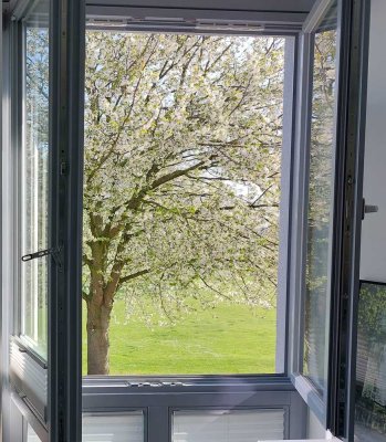 PROVISIONSFREI ! - Moderne 3-Zimmerwohnung direkt am Kurpark