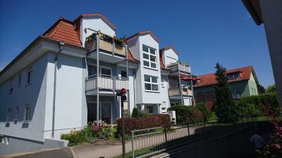 Schöne helle 2 Zimmer Wohnung im EG mit Südterrasse in Radebeul