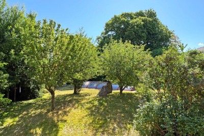 Verlassenschaftsverwertung! Zu Fuß zum Laaber Tor beim Lainzer Tiergarten