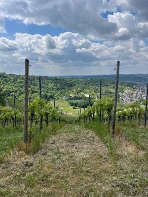 Gemütliches 1,5-Zimmer Appartment im Stuttgarter Osten