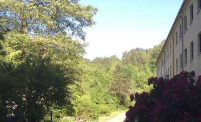 BELIEBTER 4 RAUM-WOHNUNGSTYP! FRISCH RENOVIERT IM 1.OBERGESCHOSS!