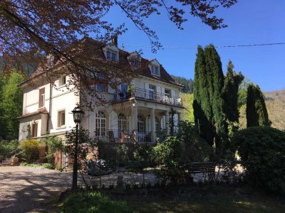 Charmante 1Zi.-Dachgeschosswhg.  in Gründerzeit-Villa in Neckargemünd - WOHNEN FÜR HILFE  !!!