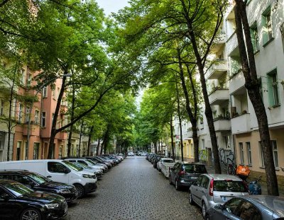 Loftartige Terrassenwohnung mit Altbaucharme in TOP LAGE Berlin Friedrichshain