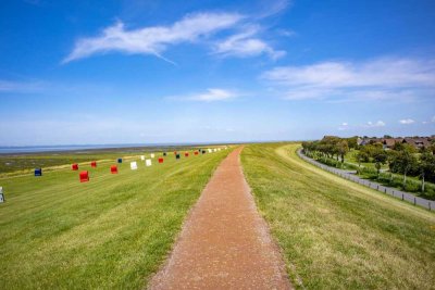Nordseeidyll: Charmante Ferienwohnung direkt am Deich in Friedrichskoog-Spitze