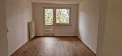 Frisch renovierte 3-Zimmer Wohnung inkl. EBK und Balkon