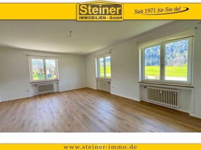 3-Zimmer-Wohnung ca. 90 m², renoviert, Küche, Freisitz, PKW-Stellplatz/Garage am Hof