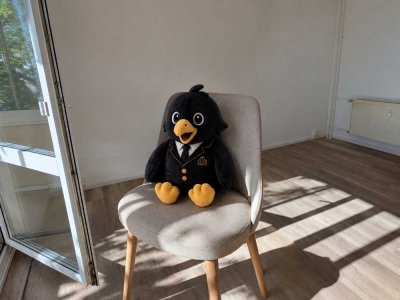 Helle 2-Raum-Wohnung mit Balkon und modernem Bad in Chemnitz