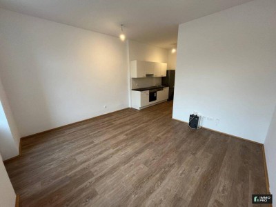 Moderne Wohnung in Leoben Donawitz zu vermieten - 2,5 Zimmer