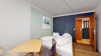 Touristische Vermietung: Attraktive &amp; vielseitige Apartments nahe der Skiregion Schmitten/Zell am See *TOP 6* SEEBLICK