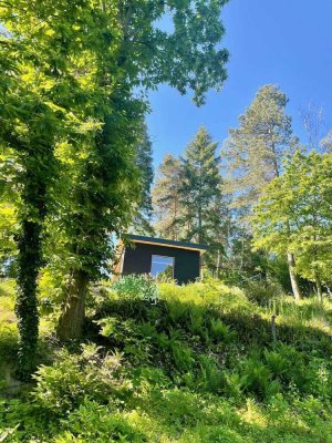 ***REMOTE LIVE & WORKSPACE || TINYHOUSE***