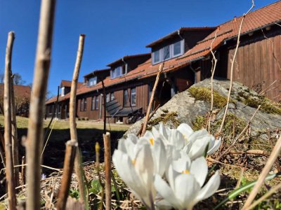 Einraumwohnung zu vermieten – gemütlich & zentral (B3)