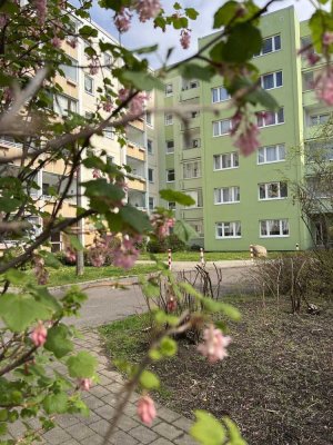 4-Raum Wohnung in Rostock zu verkaufen. Starten Sie in den Frühling.