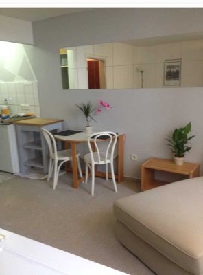 Stilvolle, modernisierte 1-Zimmer-Wohnung mit EBK in Heidelberg Werderstrasse
