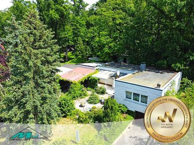 Bungalow mit mediterranem Traumgrundstück direkt am Wald in Taucha